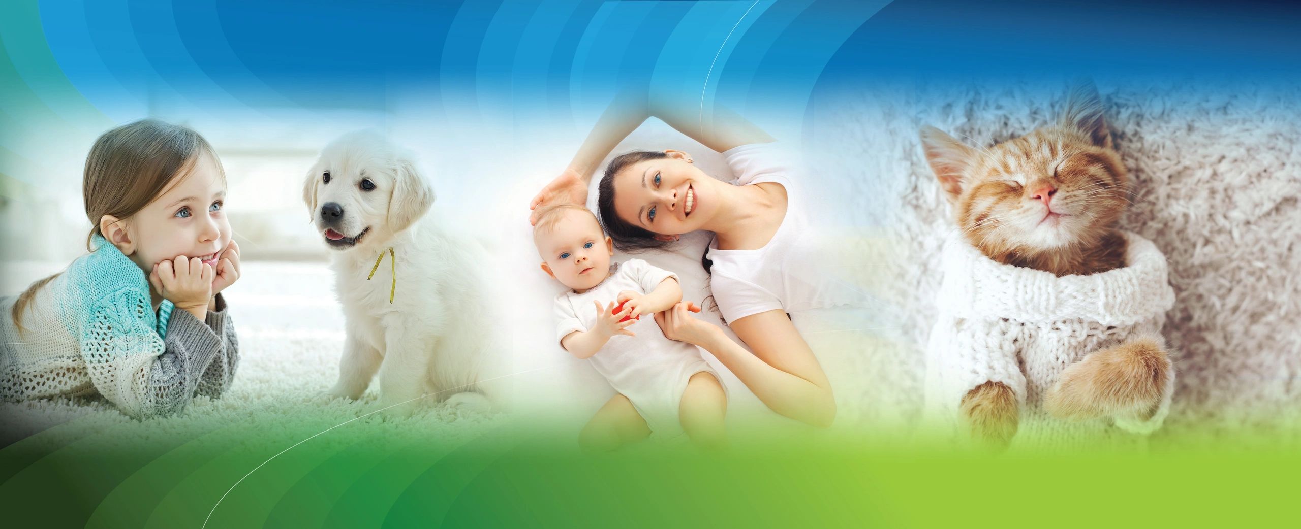 Green Home Carpet Care